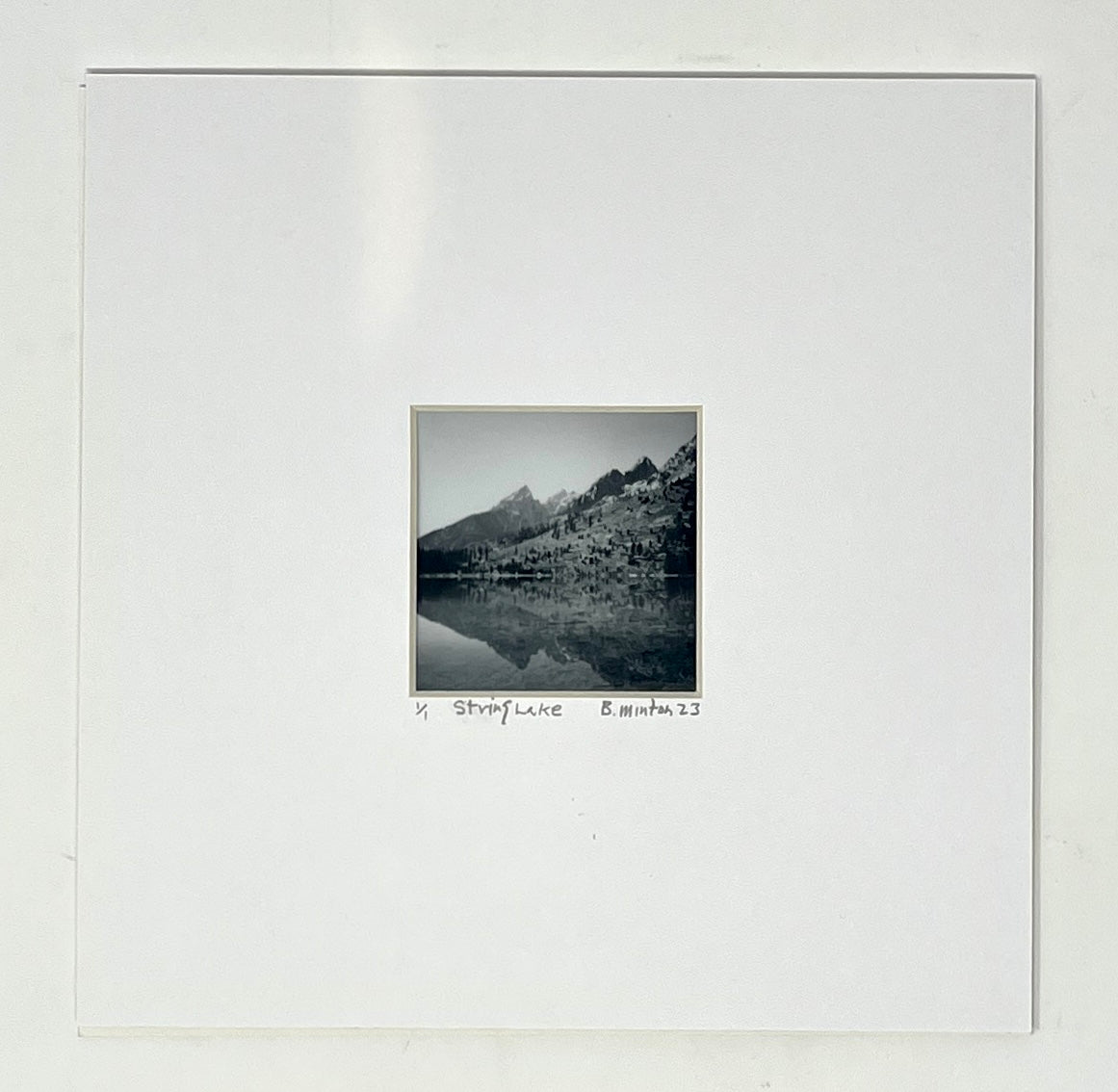 Bronwyn Minton: Polaroid