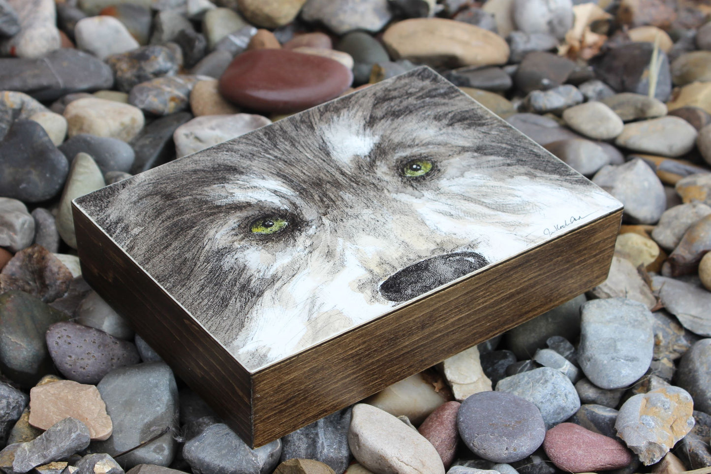 Jennifer Kocher-Anderson: Personal Space: Grey Wolf