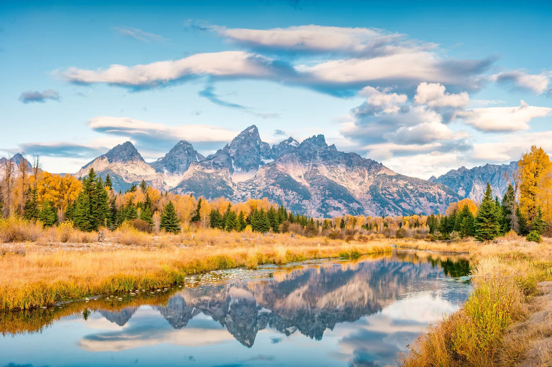 A Snob's Guide to Jackson Hole