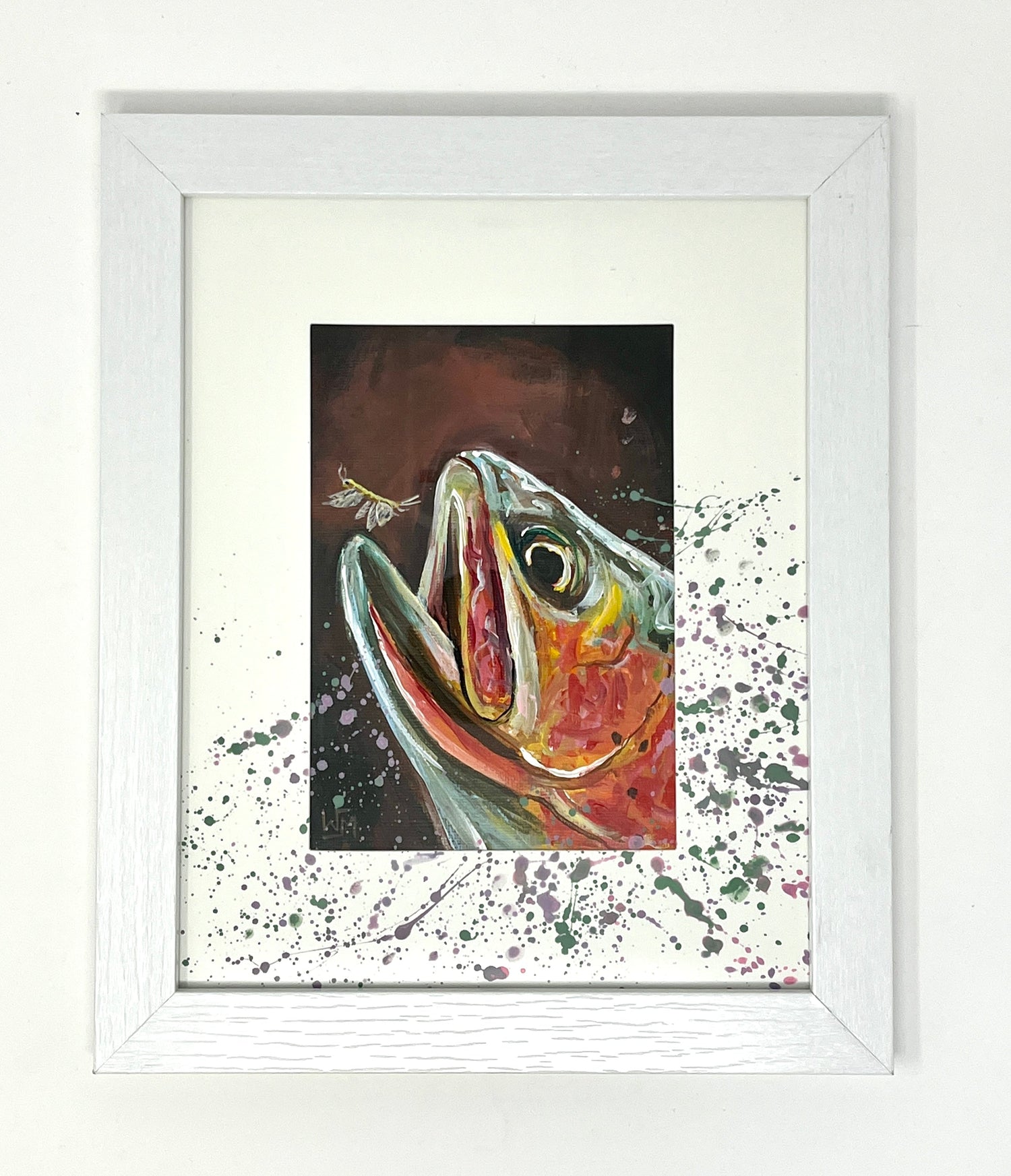 Collections – ARTSHOP