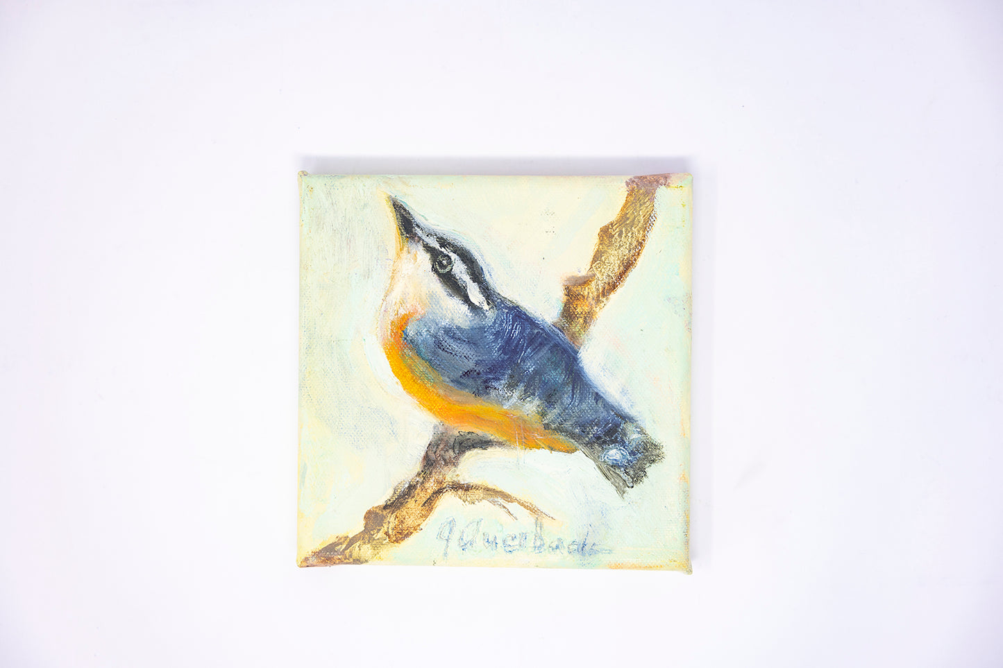 Jill Auerbach: Red Breasted Nuthatch