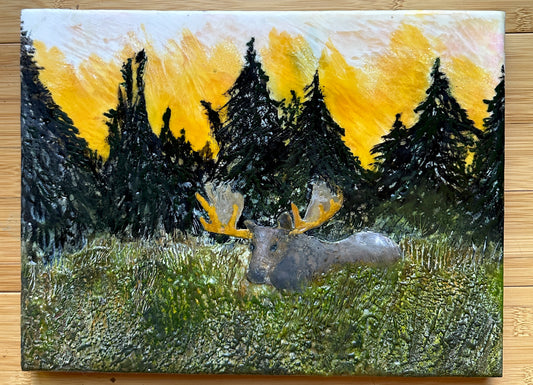 Laura Drew: Moose In Field