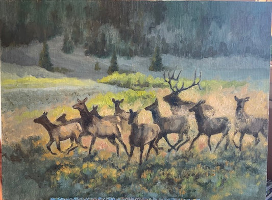 Cynde Wilson: Kickin' Up Dust (Elk)