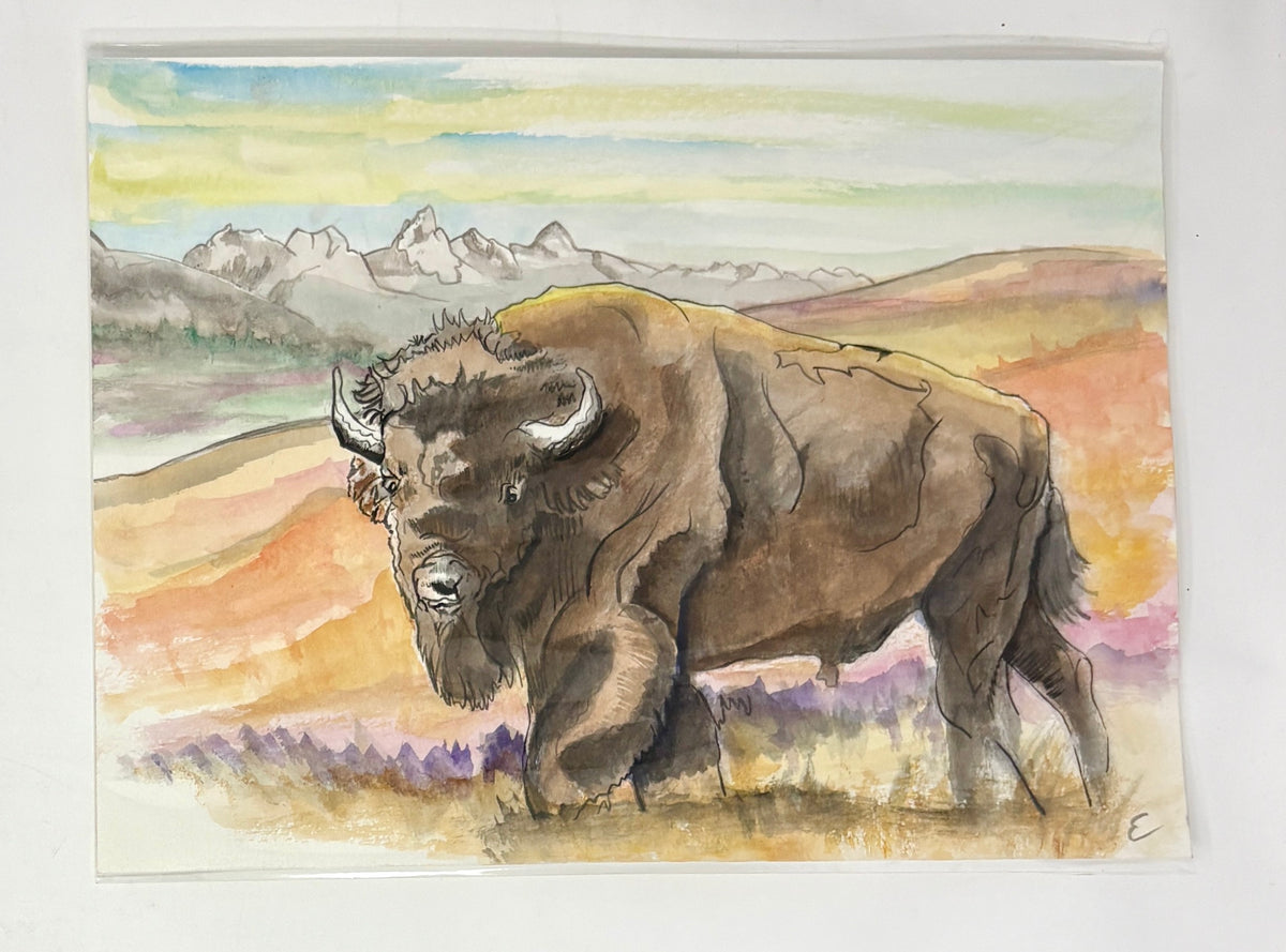 Steve Ehrlich: Bison / Tetons Watercolors