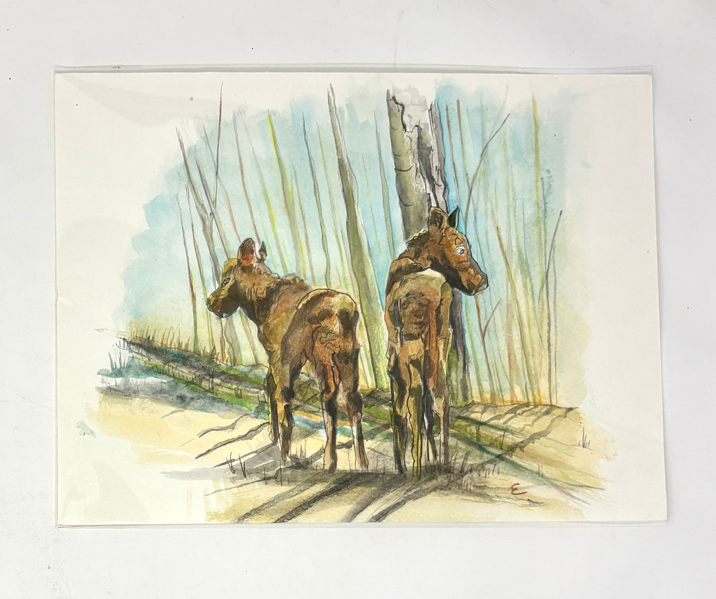 Steve Ehrlich: Moose Watercolors