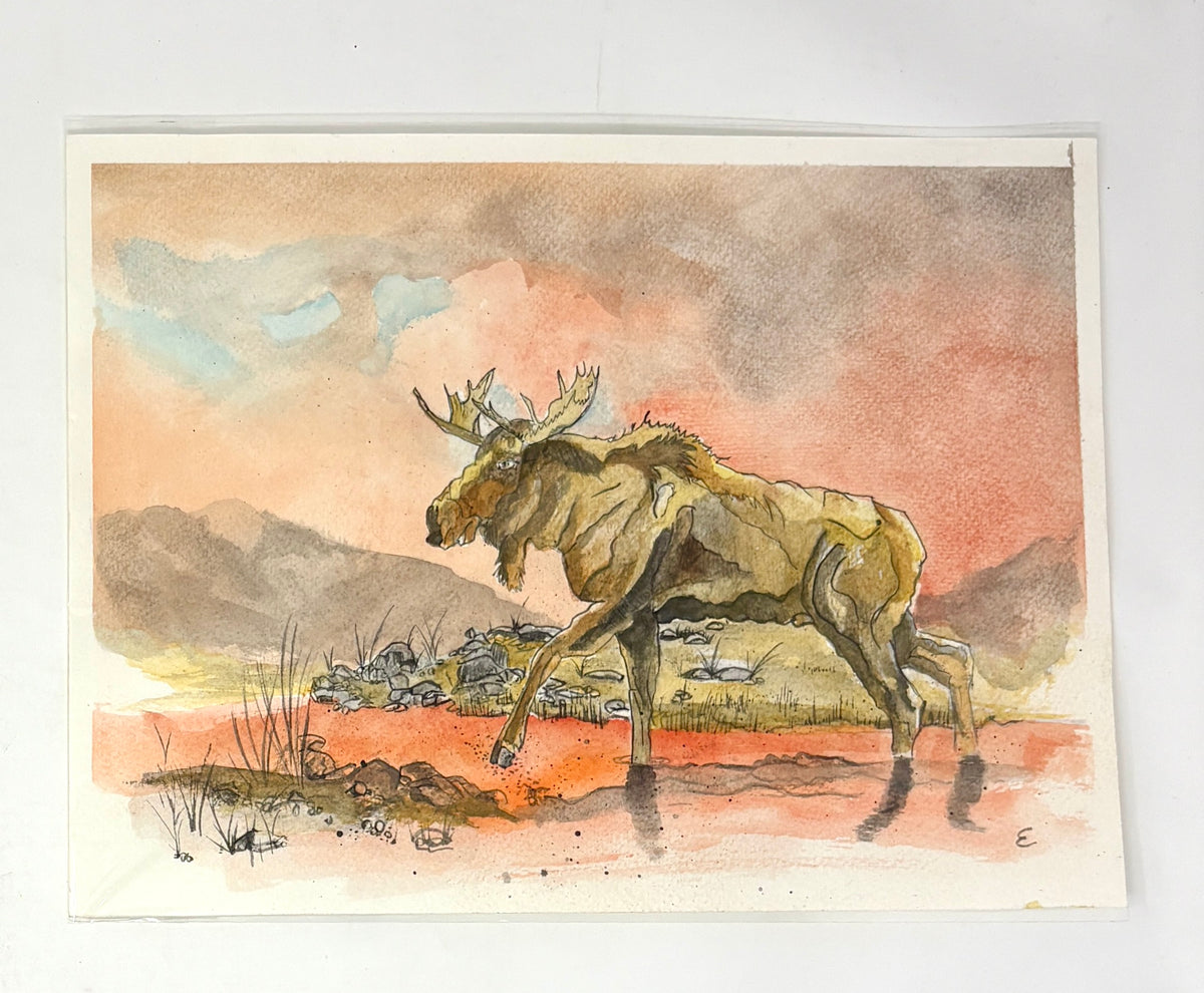 Steve Ehrlich: Moose Watercolors