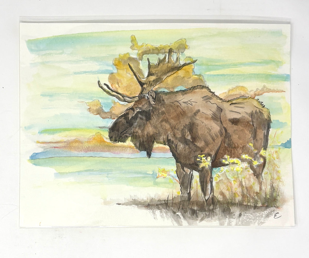Steve Ehrlich: Moose Watercolors