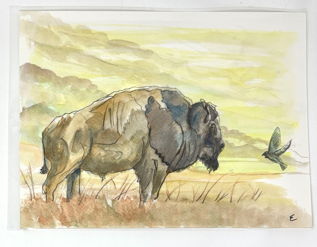 Steve Ehrlich: Bison / Tetons Watercolors