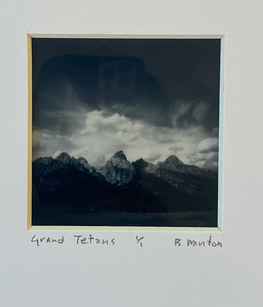 Bronwyn Minton: Polaroid