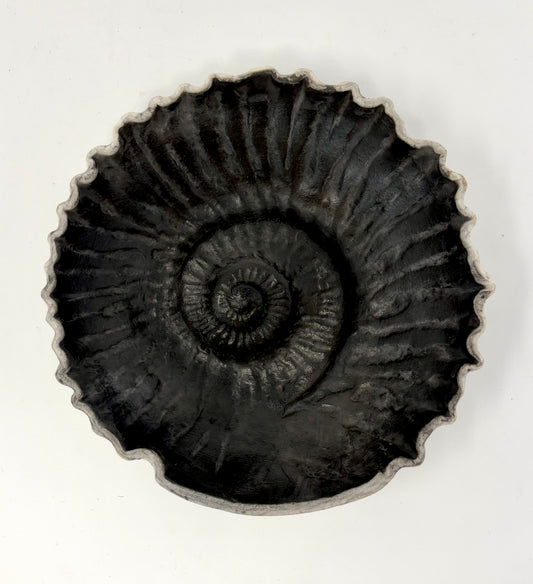 Valerie Seaberg: Small Ammoniod Raku Fossil Bowl