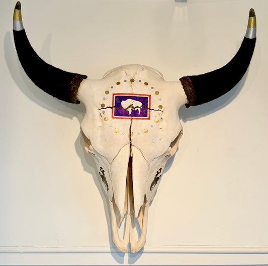 Lyndsay Rowan: Wyoming Bison Skull