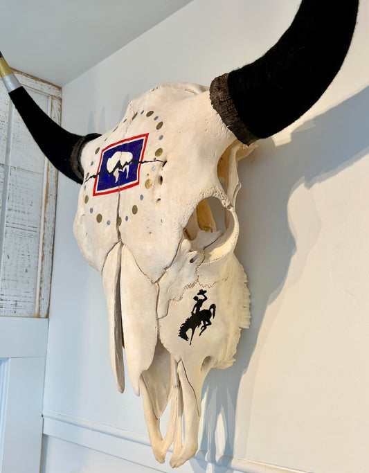 Lyndsay Rowan: Wyoming Bison Skull