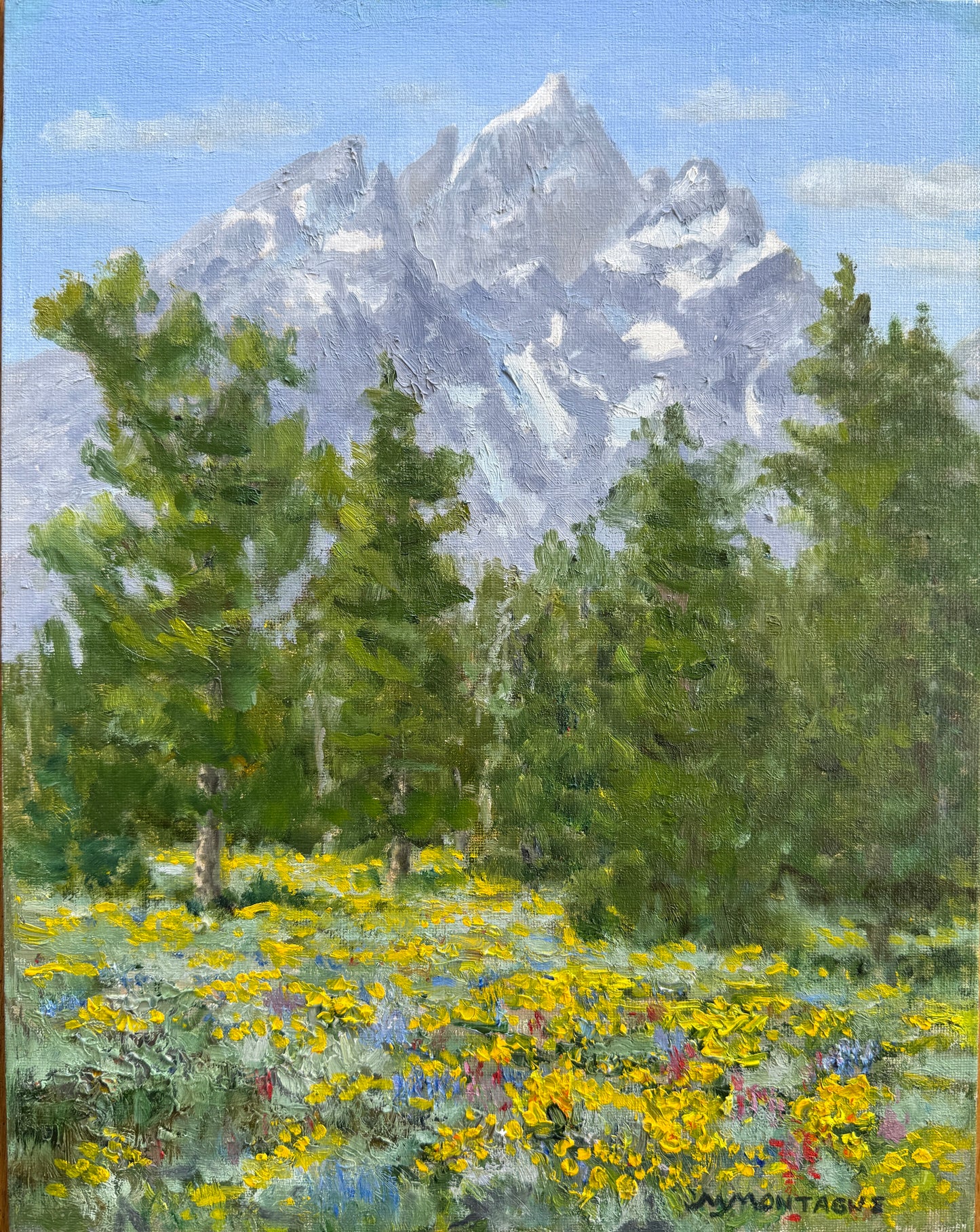 Matt Montagne: Catch It While You Can