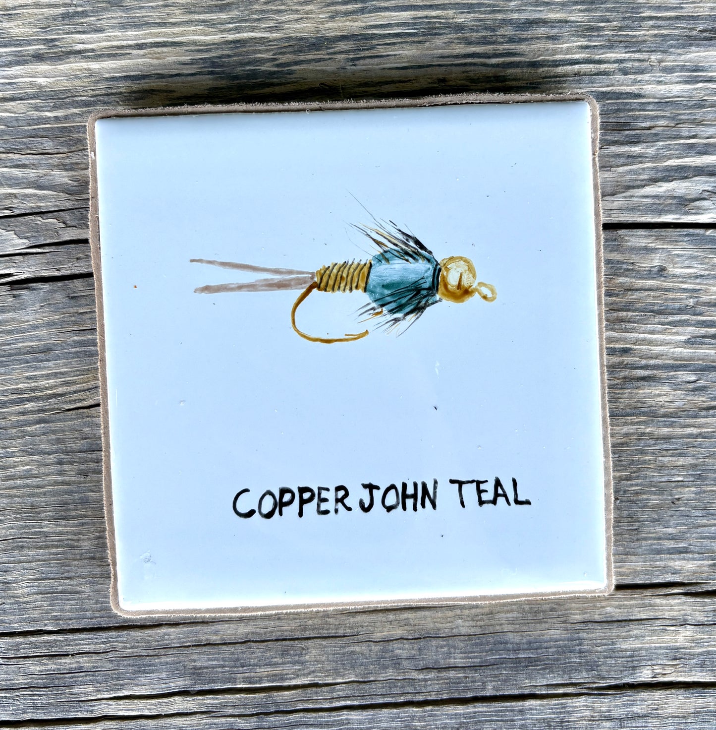 Sue Morriss: Flies Coasters