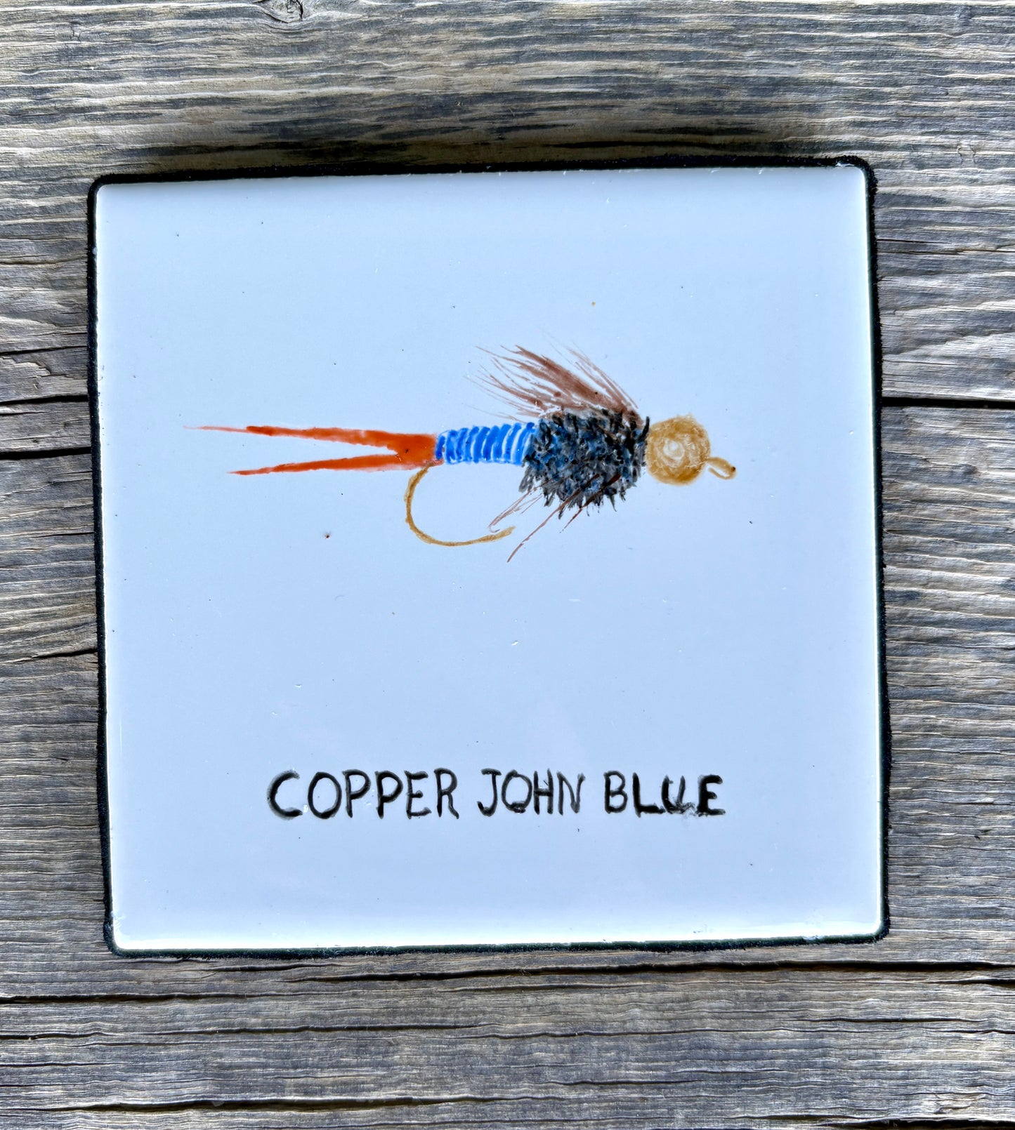 Sue Morriss: Flies Coasters