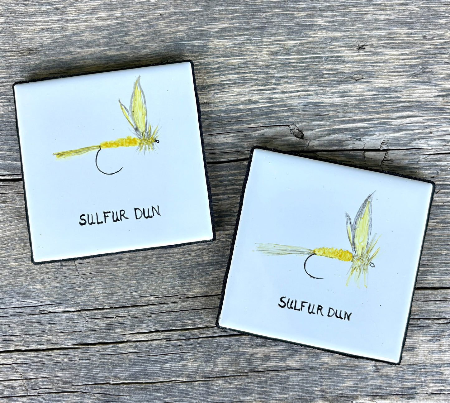 Sue Morriss: Flies Coasters