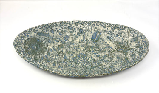 Valerie Seaberg: Large Elliptical Fossil Server