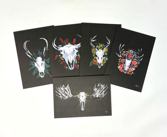 Britt Ziebell: Mixed Card Set