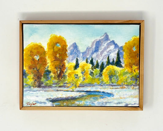 Andy Taylor: Pilgrim Creek