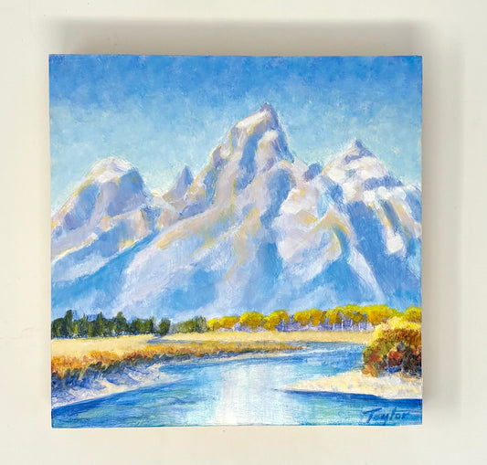 Andy Taylor: Near Turpin Meadow