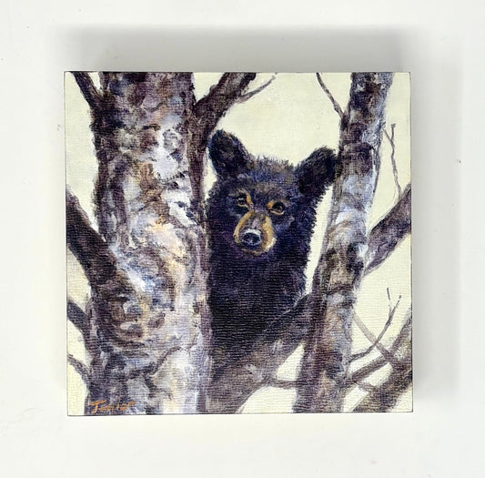 Andy Taylor: High in a Tree