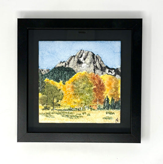 Sue Morriss: Mt Moran Fall