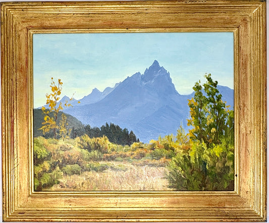 Dee Parker: The Cathedral Peaks