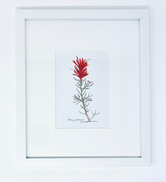 Mary Lohuis: Indian Paintbrush Original