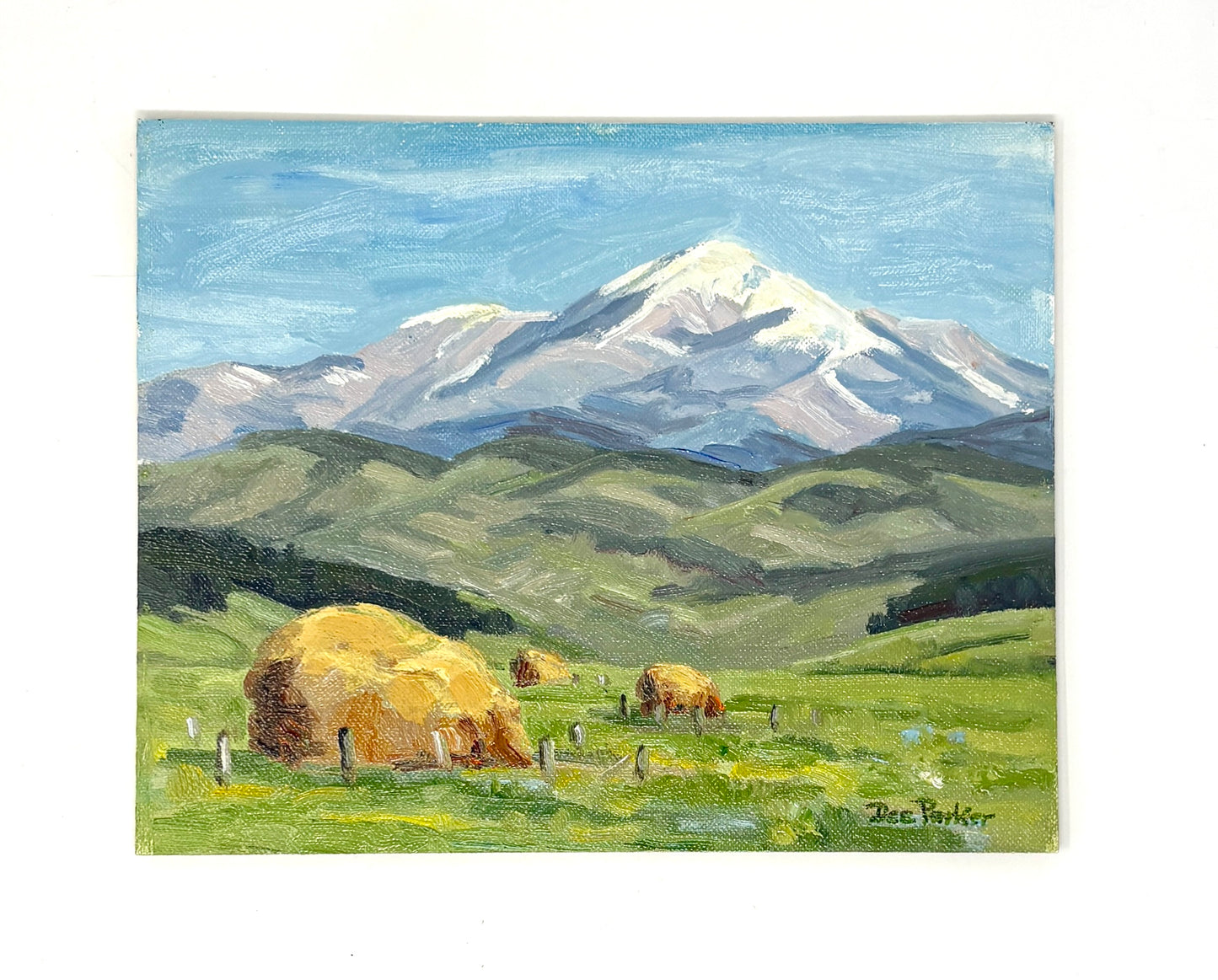 Dee Parker: Pinnacle Peak