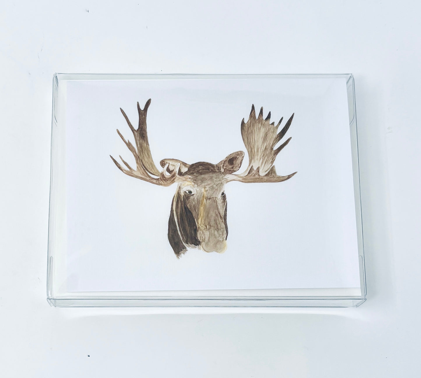 Cottage Garden Studio: Animal Notecards