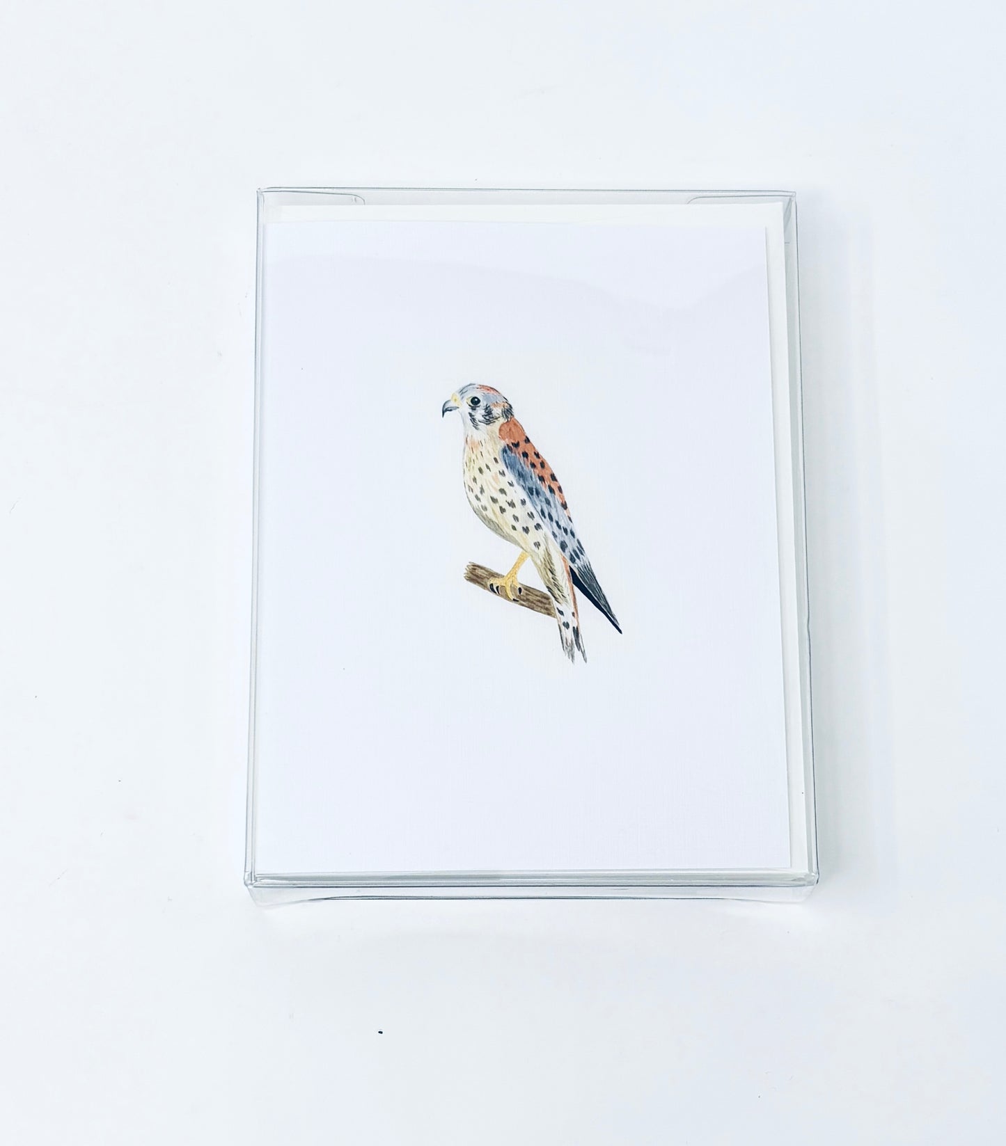 Cottage Garden Studio: Animal Notecards