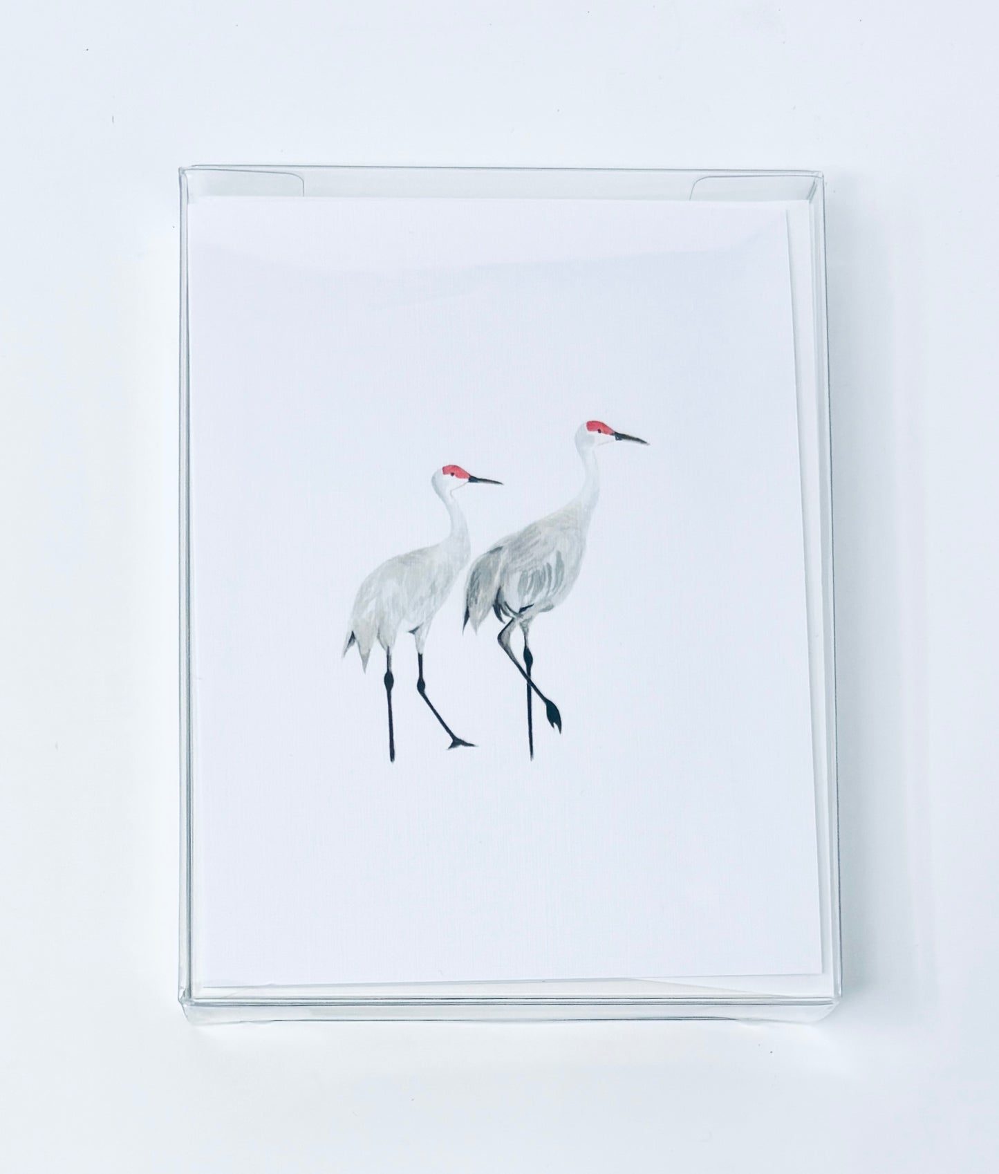 Cottage Garden Studio: Animal Notecards