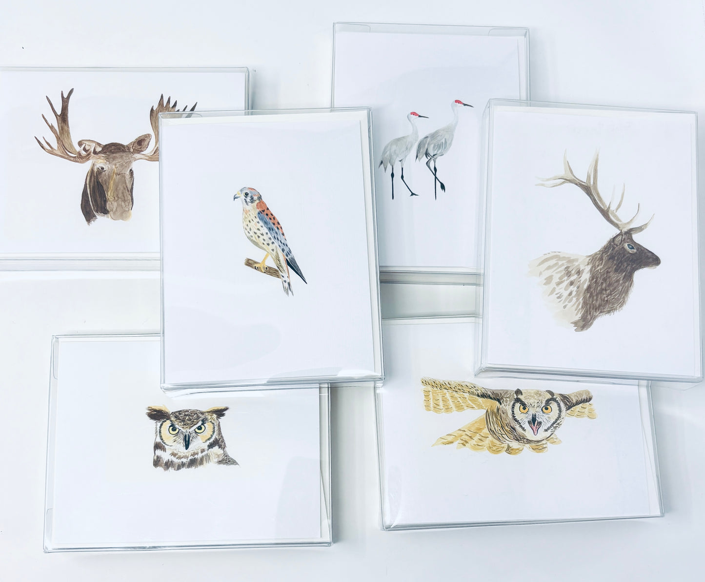 Cottage Garden Studio: Animal Notecards