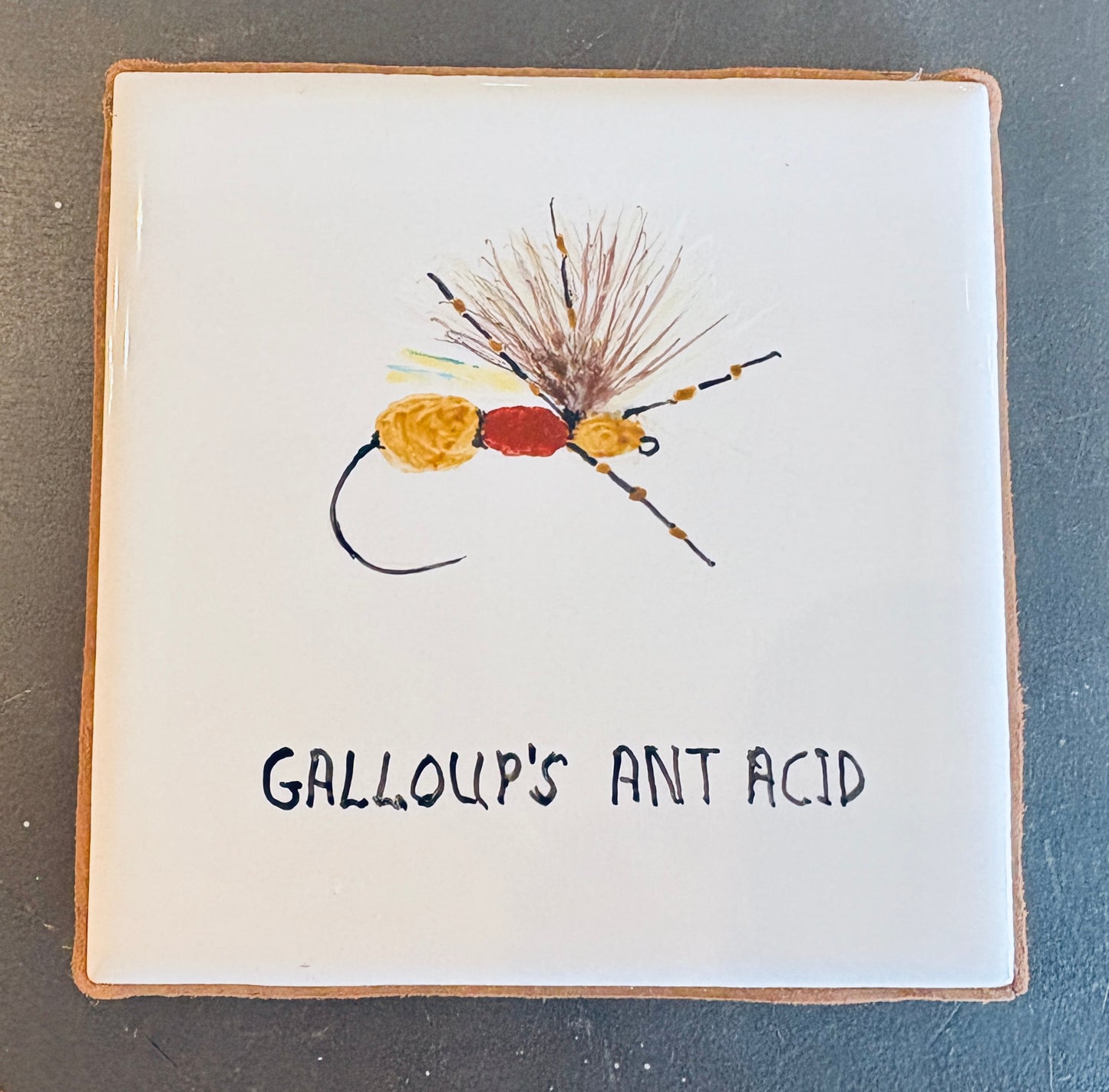 Sue Morriss: Flies Coasters