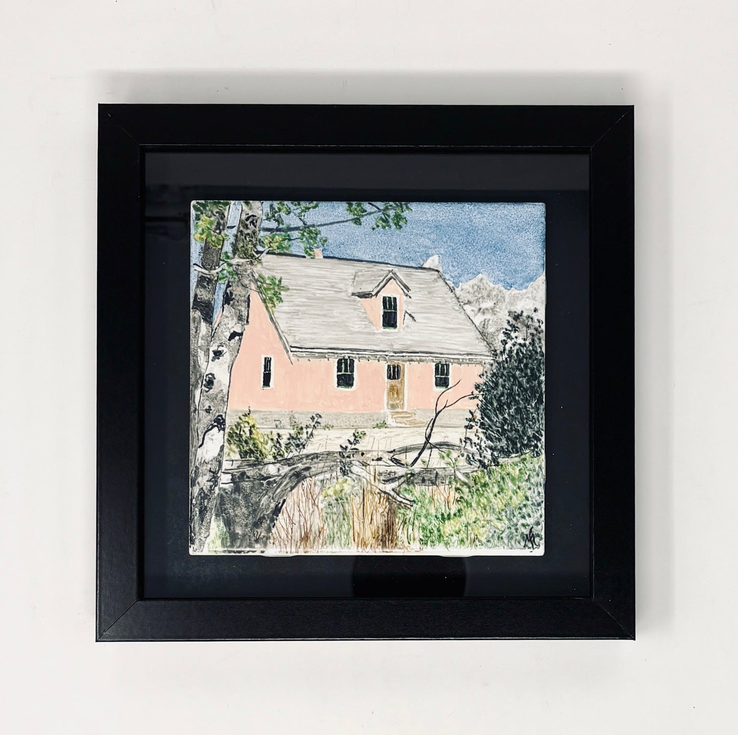 Sue Morriss: Mormon Row Pink House