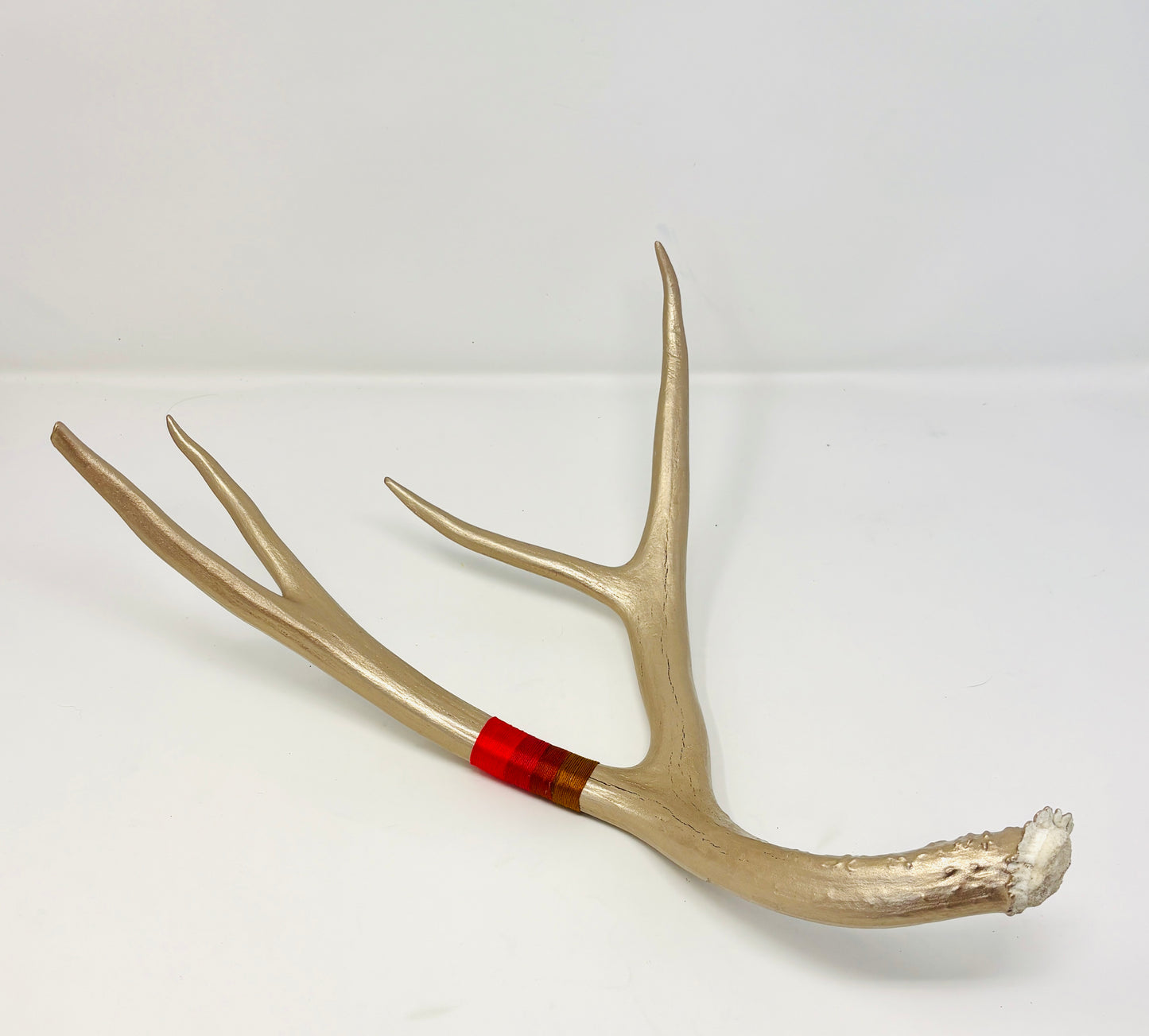 Kevin Rauch-Lynch: Large Mule Deer Antler (Gold + Reds)