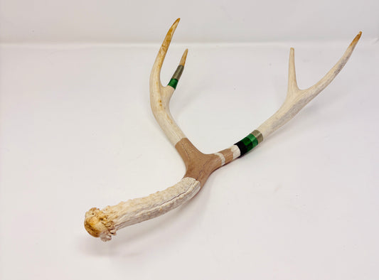 Kevin Rauch-Lynch: Large Mule Deer Antler (Greens + Gold)