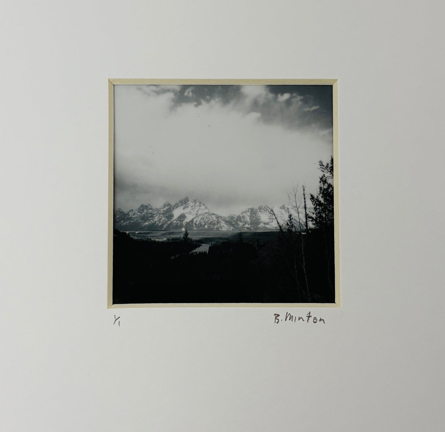 Bronwyn Minton: Teton Polaroid