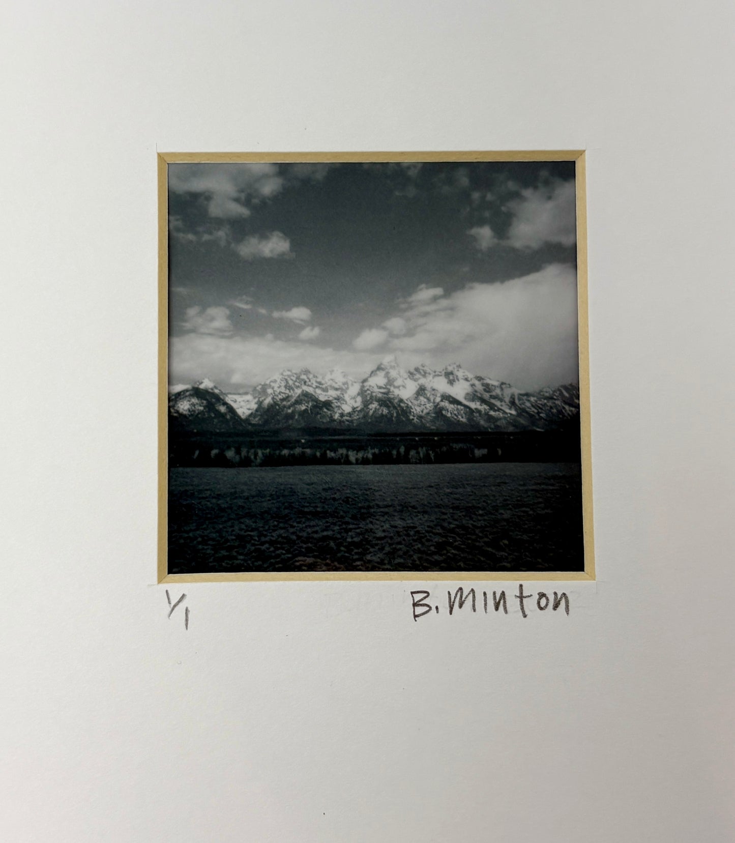 Bronwyn Minton: Teton Polaroid
