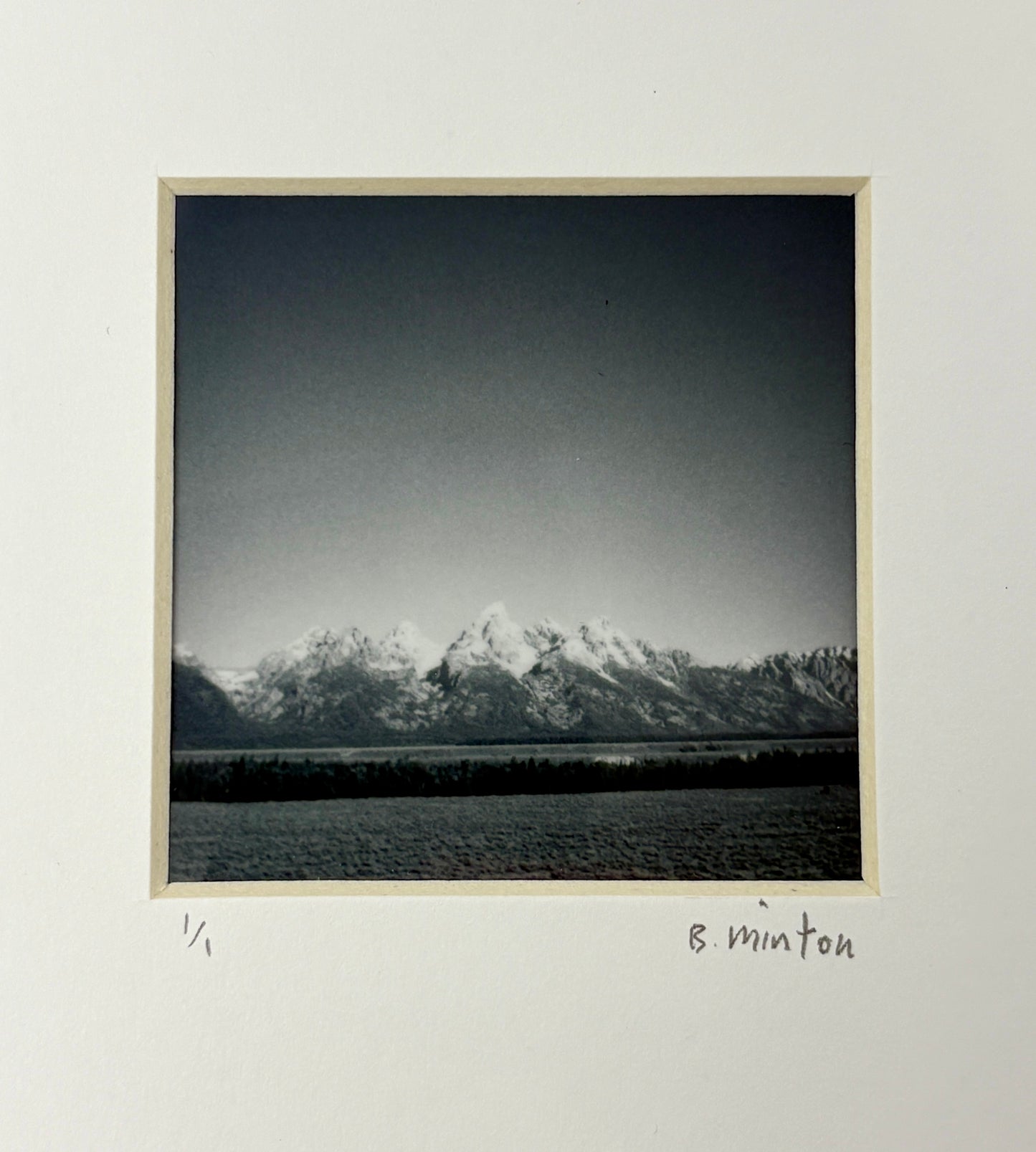 Bronwyn Minton: Teton Polaroid