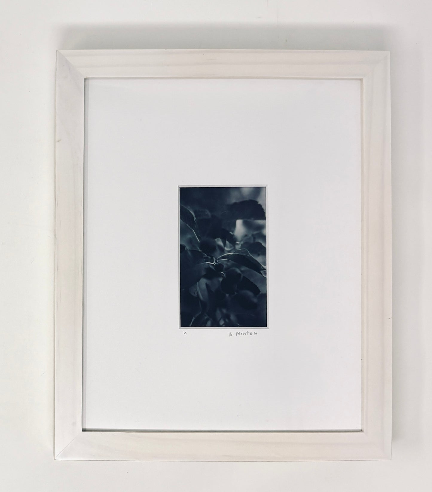 Bronwyn Minton: Flower Polaroid