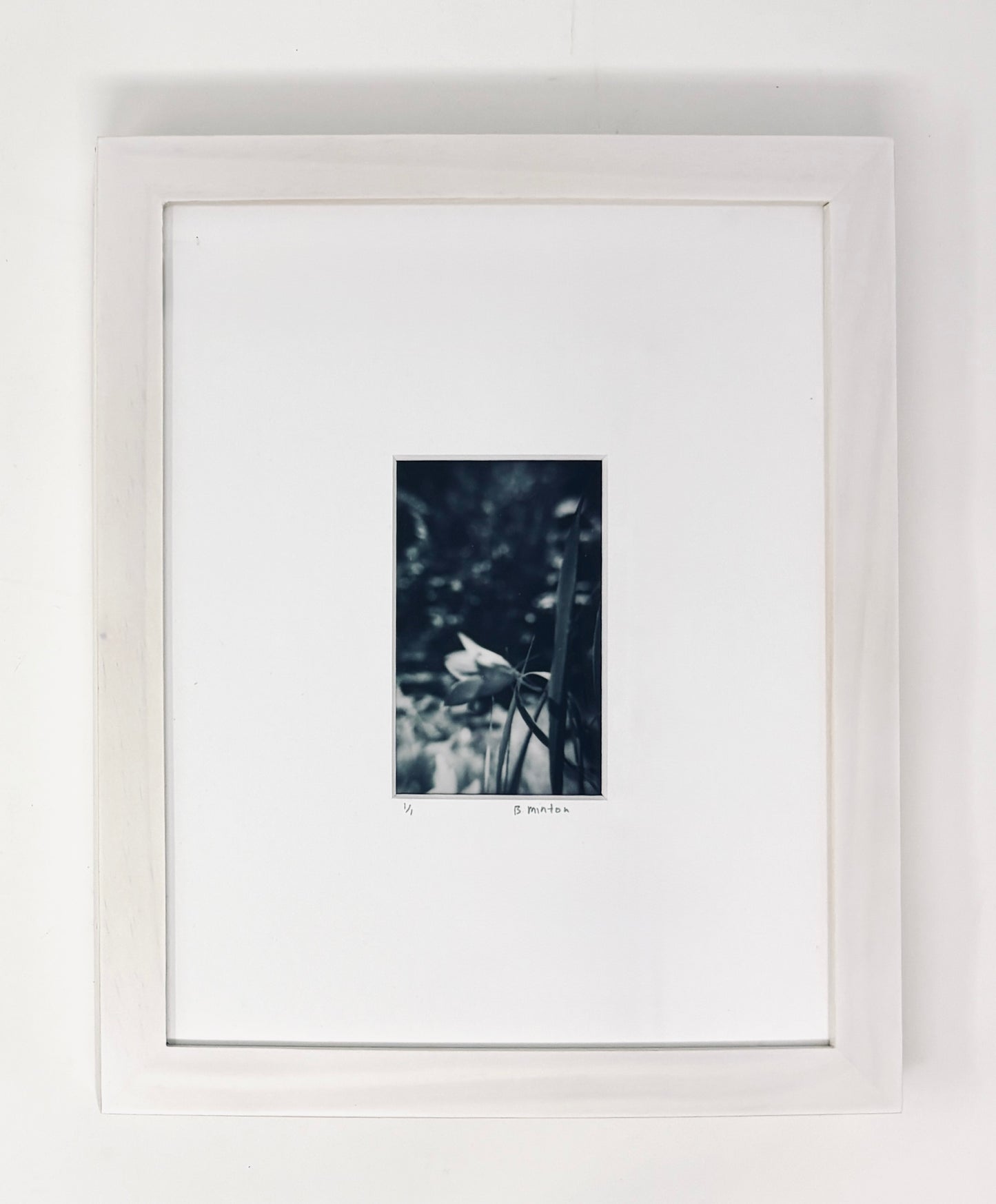 Bronwyn Minton: Flower Polaroid