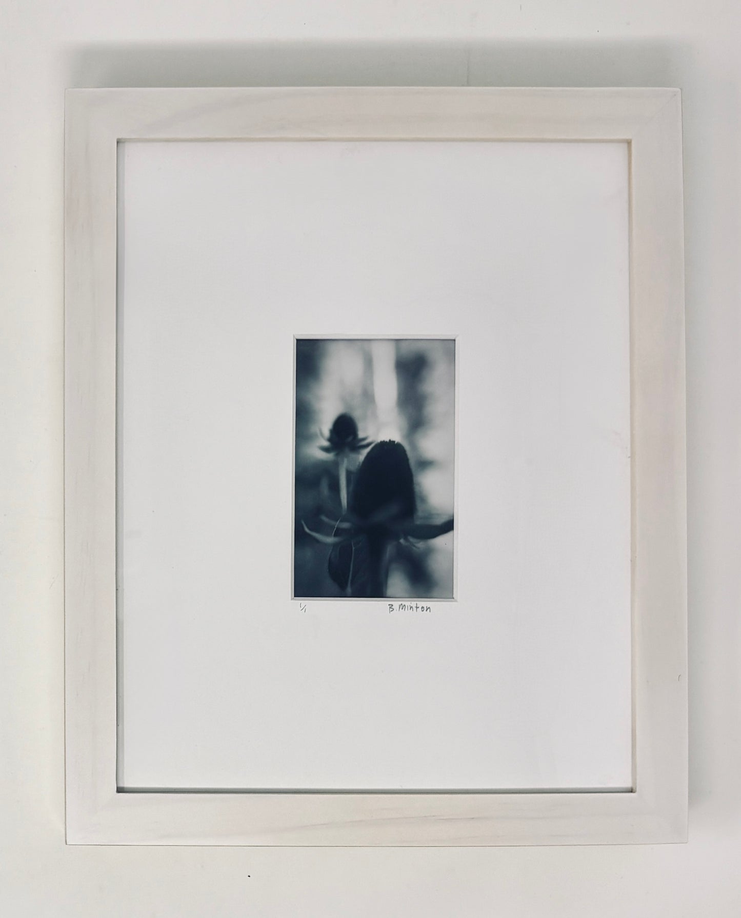 Bronwyn Minton: Flower Polaroid