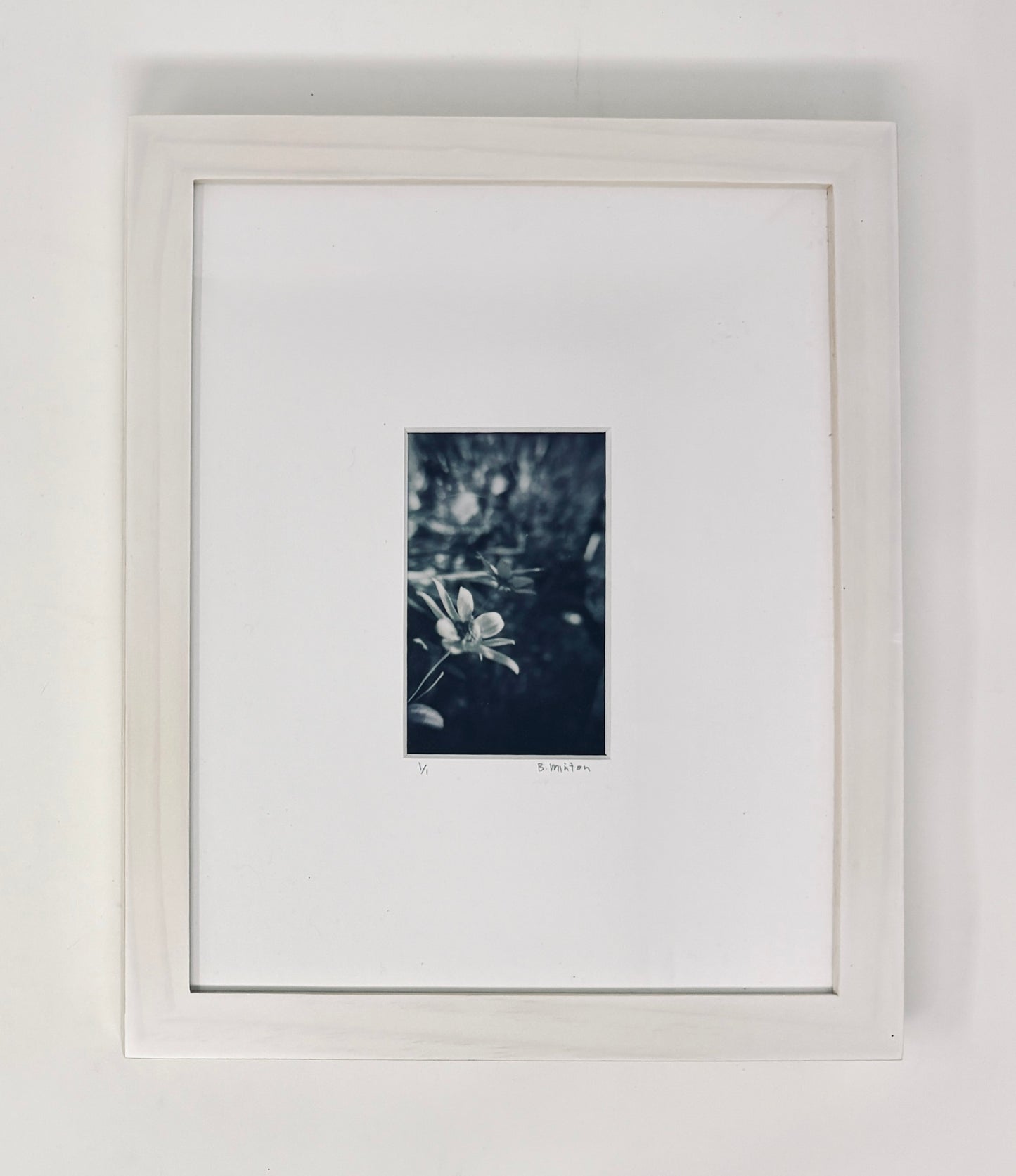 Bronwyn Minton: Flower Polaroid