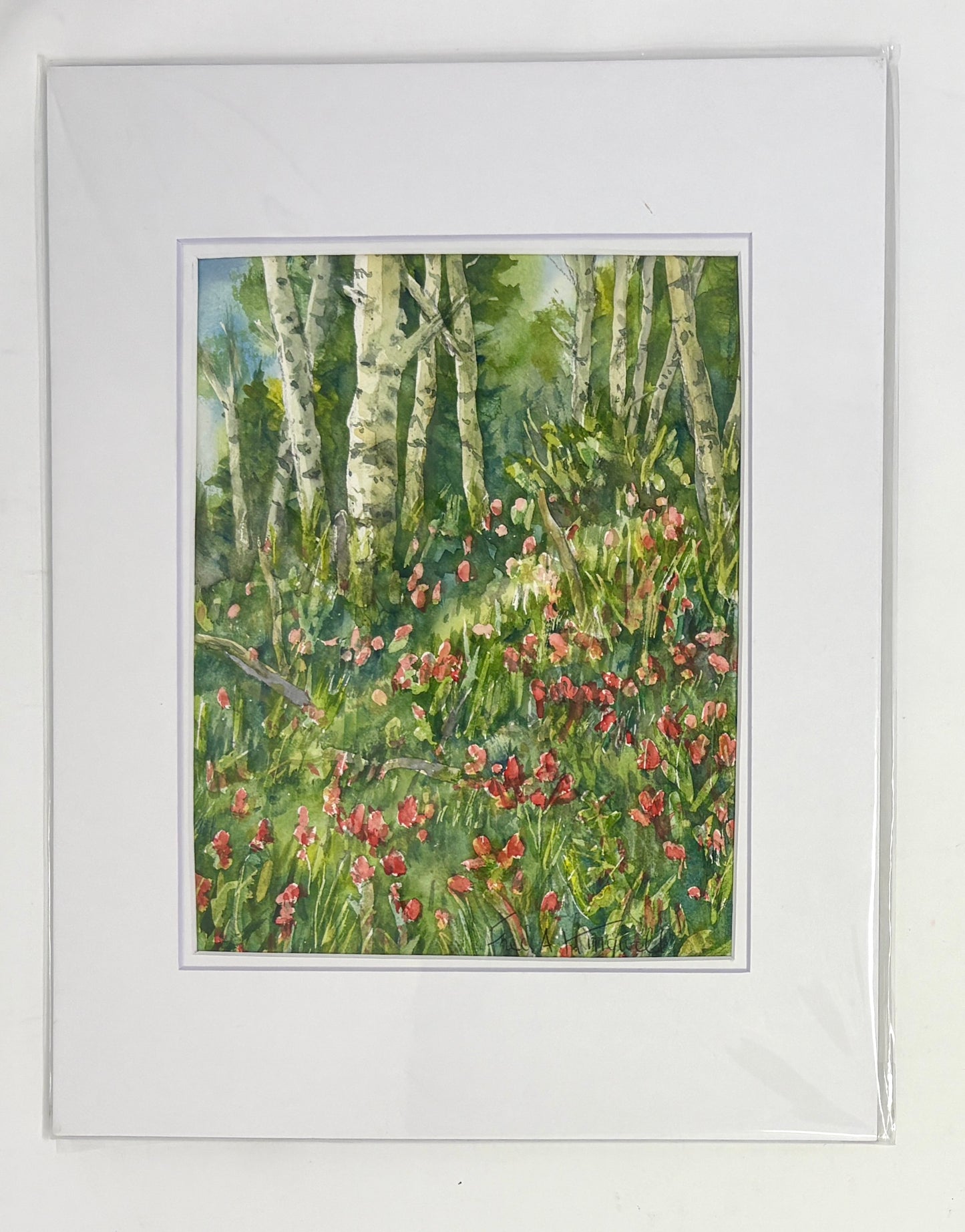 Fred Kingwill: Aspen / Paintbrush