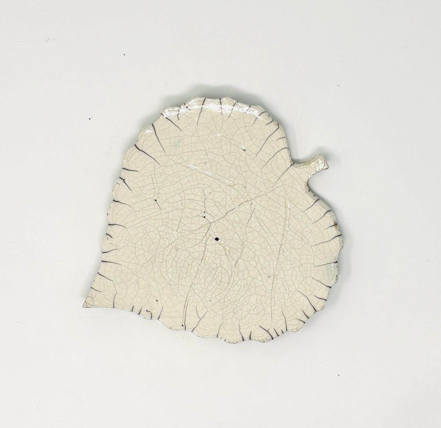 Emily Belsham Rakuscapes: Aspen Leaf Tray
