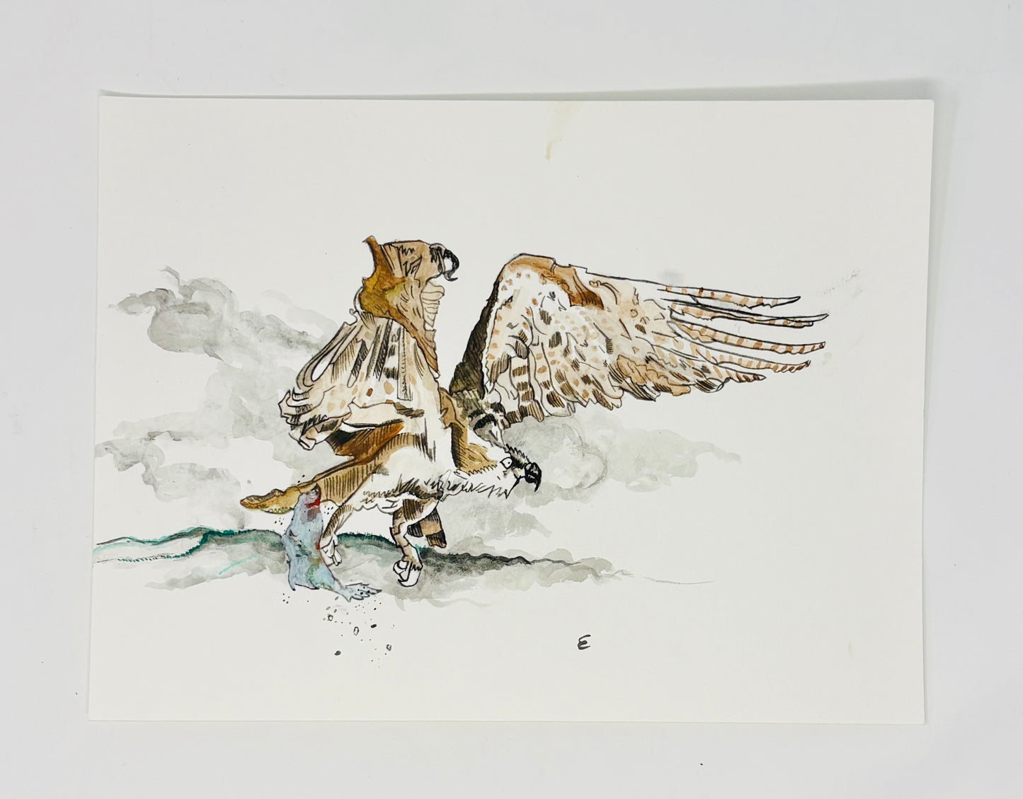 Steve Ehrlich: Bird and Raptor Watercolors