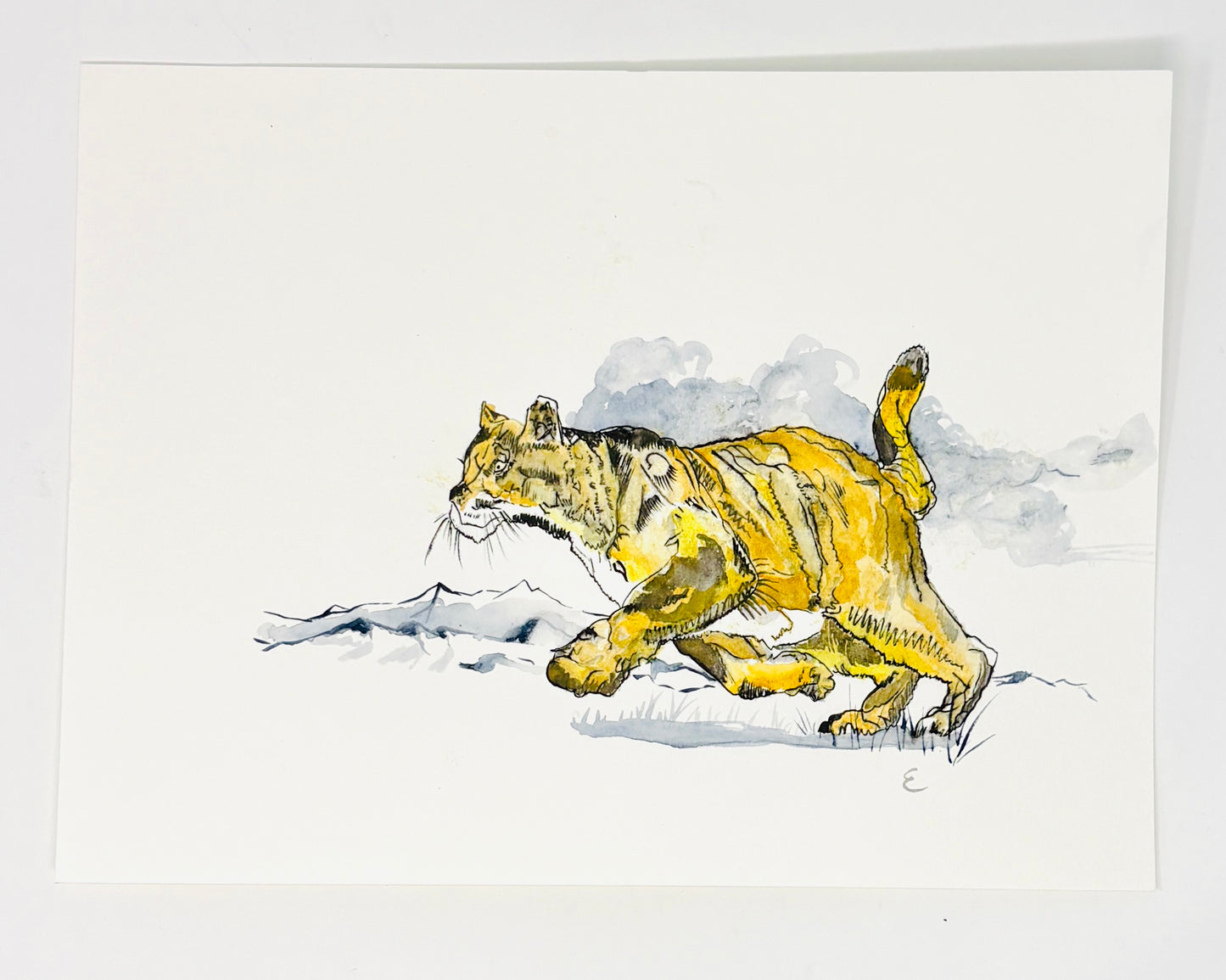 Steve Ehrlich: Wildlife Watercolors