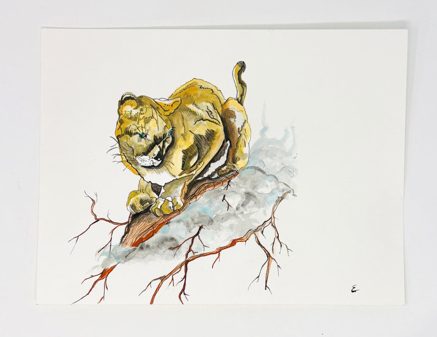 Steve Ehrlich: Greater Yellowstone Wildlife Watercolors