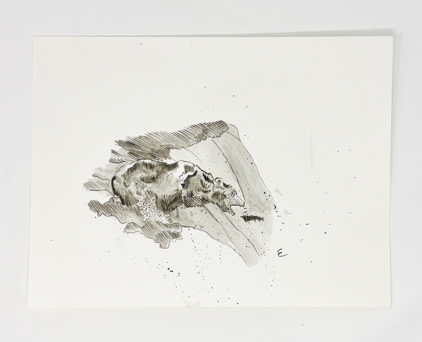 Steve Ehrlich: Bear Watercolors